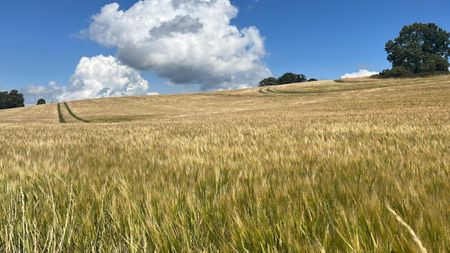 Landschaft