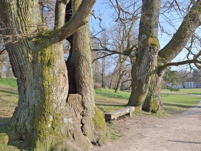 Ferienwohnung Am Schwanenteich