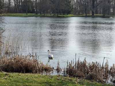 Ferienwohnung Am Schwanenteich