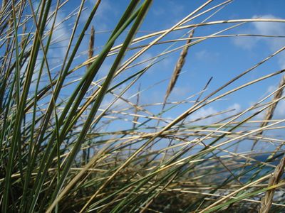  Villa Dünenblick Timmendorfer Strand - 