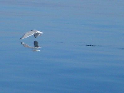  Villa Dünenblick Timmendorfer Strand - 