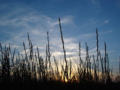  Villa Dünenblick Timmendorfer Strand - 