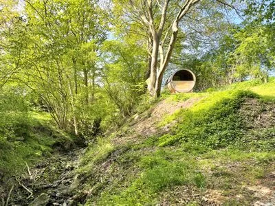 Sauna Reetdachkate Fuchsgraben