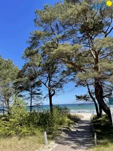 Landschaft Dünenpark Binz Ferienwohnung 215