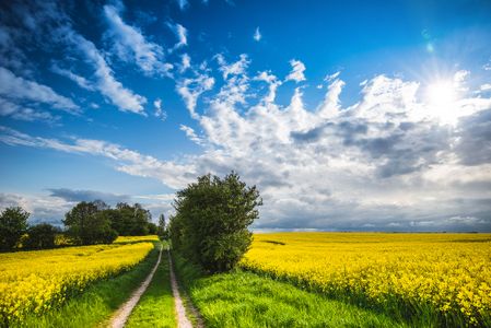 Landschaft