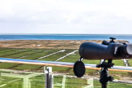 Meerblick Sternschnuppe