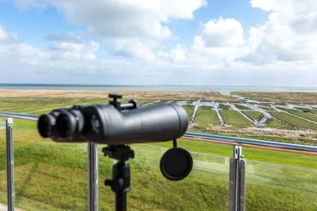 Meerblick Sternschnuppe