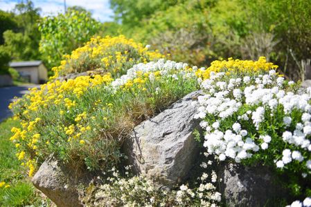 Ferienhaus Uhlenbusch Fewo 2