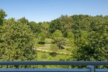 Ferienwohnung Seestern Zingst Blick in den Garten  Seestern