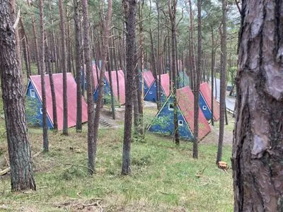  Naturerlebnis direkt vor der Tür – gemütliche Finnhütte am Waldrand - Ida