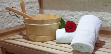 Sauna FeWo Treibgut in PRORA - 8.12