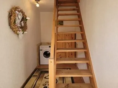  geraümige Wohnung im Grünen