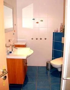  Ferienhaus direkt am See