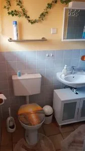  Ferienhaus Insel Rügen