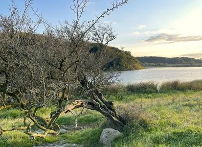 Winderatter See im Herbst (1km entfernt) Appartement Reethus Koppelkiek