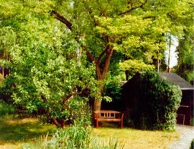  Ferienhaus in Waren Müritz