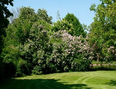  Ferienwohnung Alte Gutsbrennerei