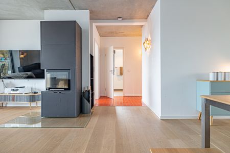 Kamin-/Ofen
