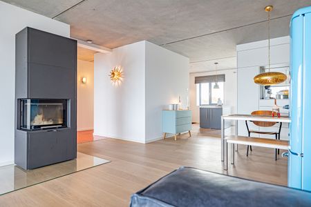 Kamin-/Ofen
