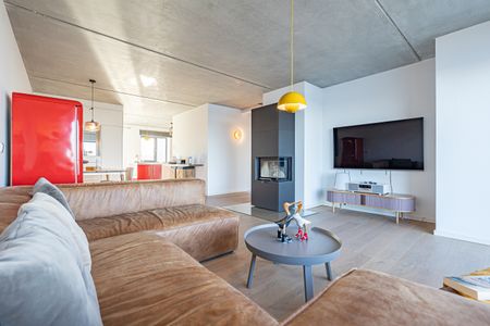 TV / Multimedia