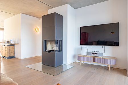 Kamin-/Ofen