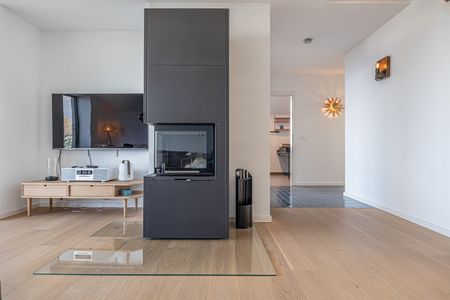 Kamin-/Ofen