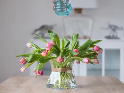  Villa Baltic Strandstern