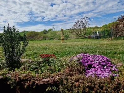 Gartenblick Ferienwohnung Tiny - am Rande des Nationalparks in Hagen