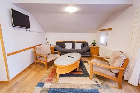 Wohnzimmer, Schlafsofa und Fernseher City Life 1 by Alpenidyll Apartments