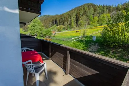 Balkon mit Aussicht in die Berge Huberhof 4 by Alpenidyll Apartments