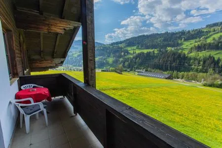 Aussicht in die Berge Huberhof 9 by Alpenidyll Apartments