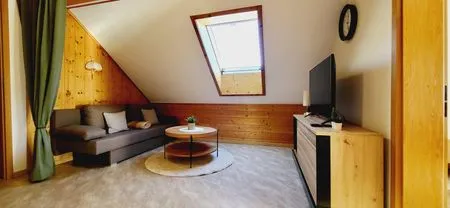 Living room, sofa bed and TV Fischbacher App. 3 by Alpenidyll Apartments