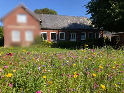 Ferienwohnung für bis zu 4 Personen (und Hund) mit Garten Krischan - Ruhige Ferienwohnung unweit vom Meer