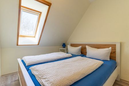 Pferdehof Königsstuhl - Fewo 5 Friese