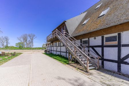 Pferdehof Königsstuhl - Fewo 5 Friese