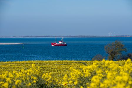 Landschaft