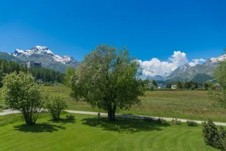 Garden view Chesa Flur Sulagl 2