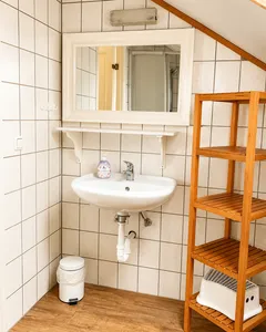 Badezimmer Ferienhaus Bootshaus
