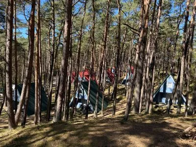  Waldidylle genießen – gemütliche Finnhütte nur wenige Schritte vom Strand - Moritz