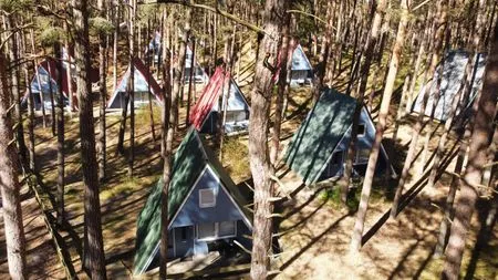  Abseits vom Alltag – Finnhütte umgeben von Wald und frischer Luft - Fiete