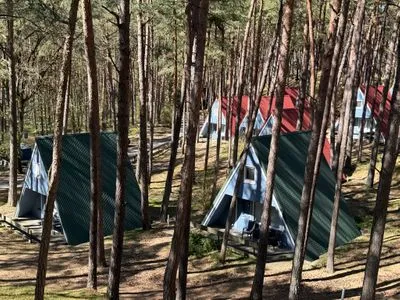  Wald und Meer verbinden – charmante Finnhütte unweit der Ostsee - Oskar