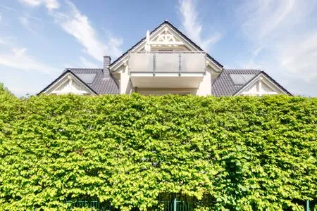 Aussenansicht Balkonseite Neue Reihe Neue Reihe 28 - Wohnung Vogelnest