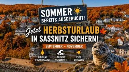 Dekoratives Detail Ferienwohnung Kleiner Seelöwe