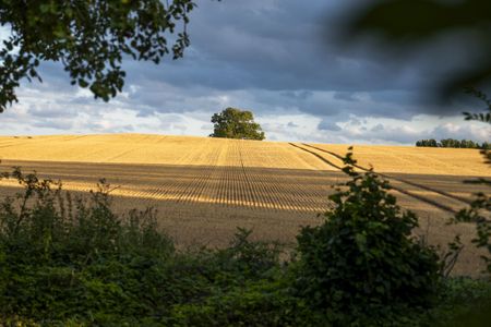 Landschaft