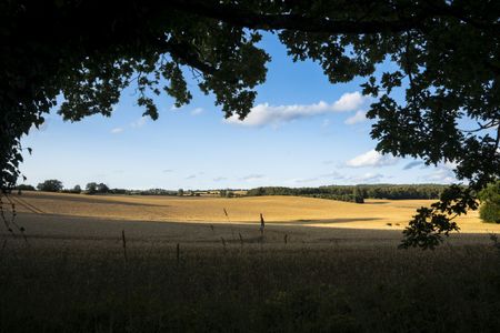 Landschaft