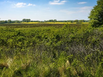 Landschaft