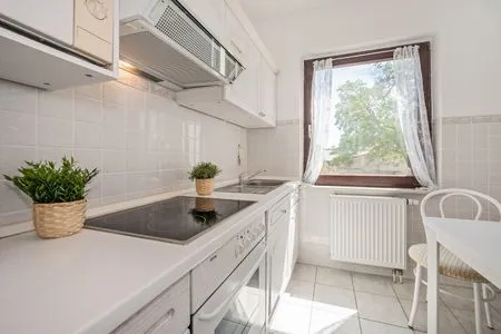 Küche / Küchenzeile Ferienhaus Mellenthin mit großer Terrasse - Hund willkommen