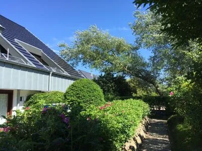 Hauptansicht Käpt'n Nelson, App. 15