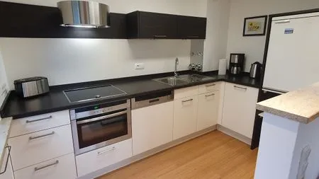 Küche / Küchenzeile Apartment Wellmann