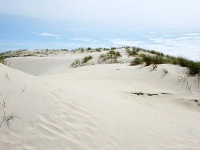 Dünenlandschaft auf der Nordseeinsel Amrum Haus *Weiße Düne* Ferienwohnung Weiße Düne 4